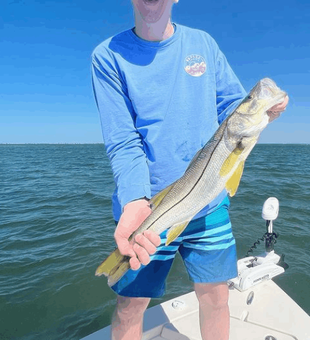 Best Charter Trip in Cape Coral, Fishing Snook